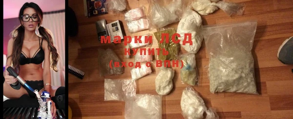 гашик Няндома