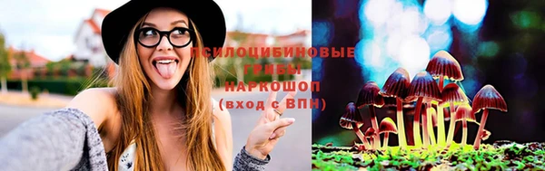 гашик Няндома