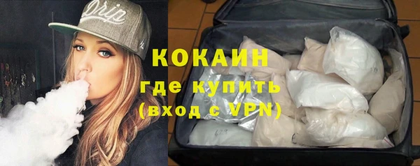 индика Бикин