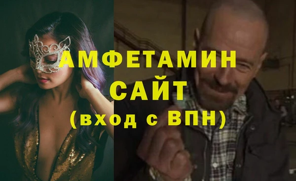 гашик Няндома