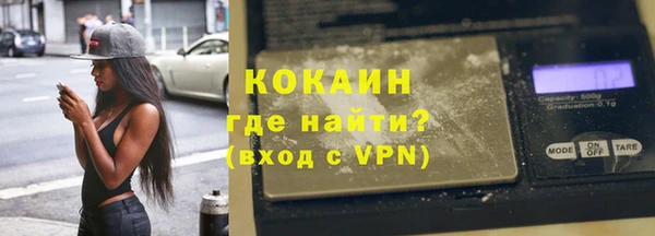 гашик Няндома