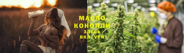 гашик Няндома