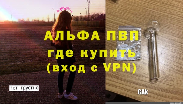 гашик Няндома