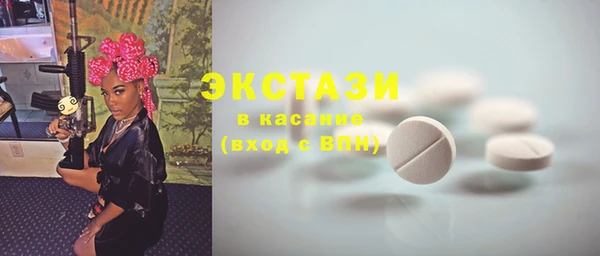 гашик Няндома