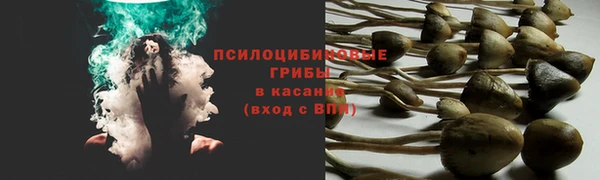 гашик Няндома