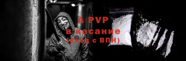 гашик Няндома