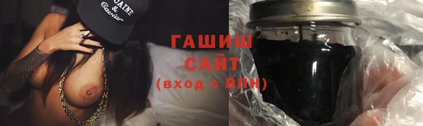 гашик Няндома