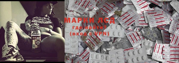 гашик Няндома