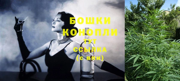 шишки Нягань