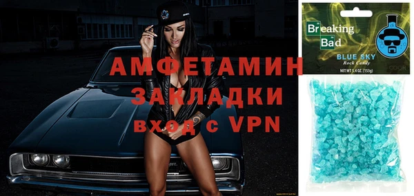 гашик Няндома