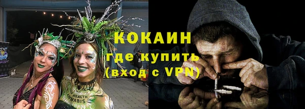 гашик Няндома