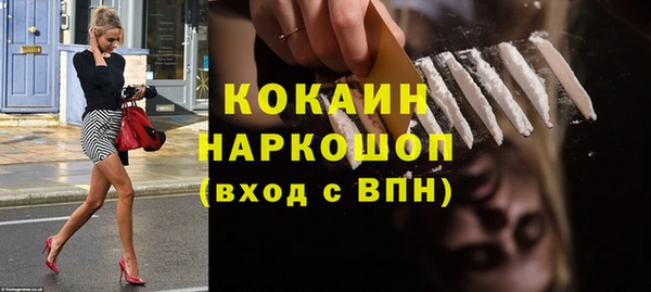 гашик Няндома