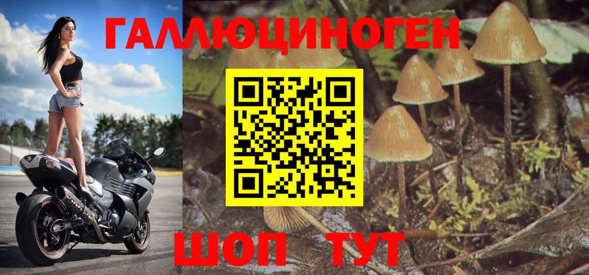 Псилоцибиновые грибы MAGIC MUSHROOMS Лыткарино