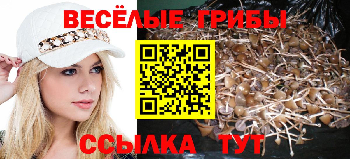 Псилоцибиновые грибы GOLDEN TEACHER Лыткарино