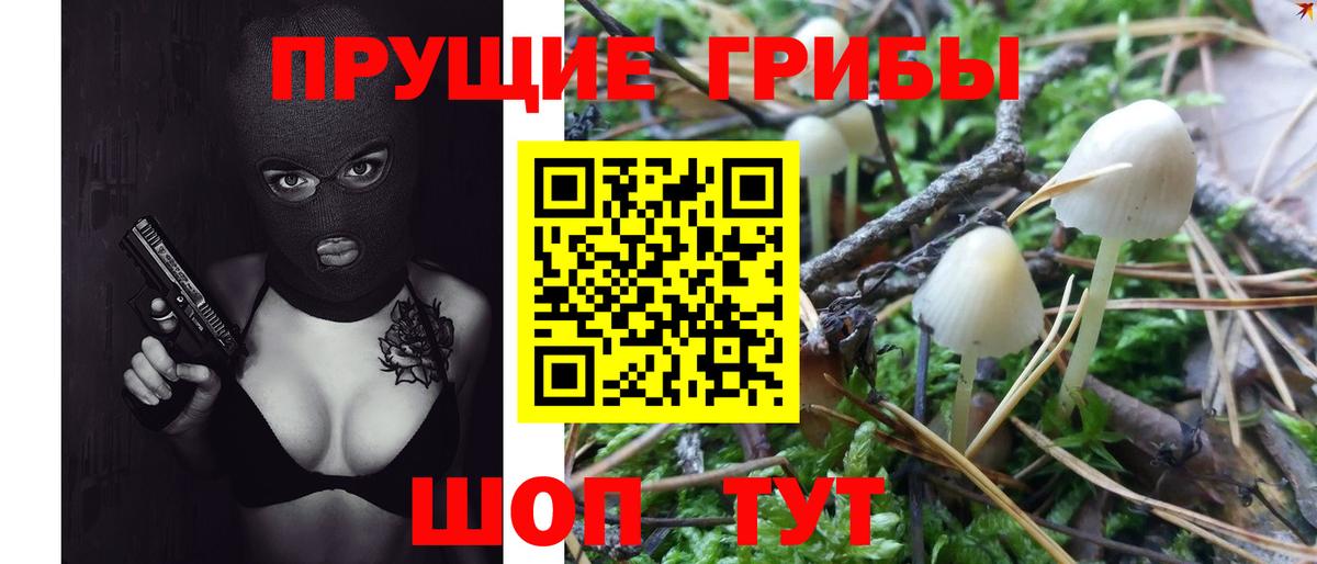 Псилоцибиновые грибы мухоморы  цена   Лыткарино 