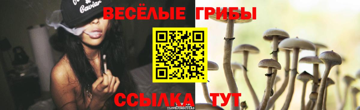 Псилоцибиновые грибы Cubensis  Вход с VPN  Лыткарино 